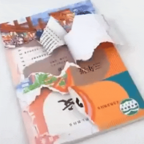 Caaju™ Self Adhesive Book & Notebook Cover